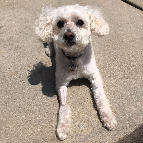 Meet your Posher, Ka - Picture 1 of 2